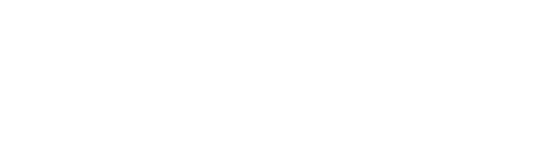 Struengineers logo white png